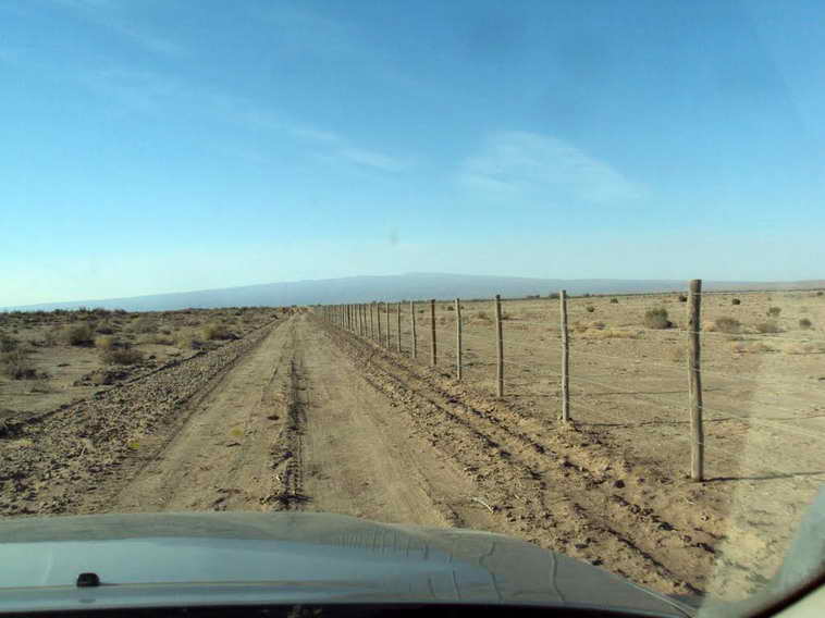 628 ha. en Caucete – Camarico (San Juan)