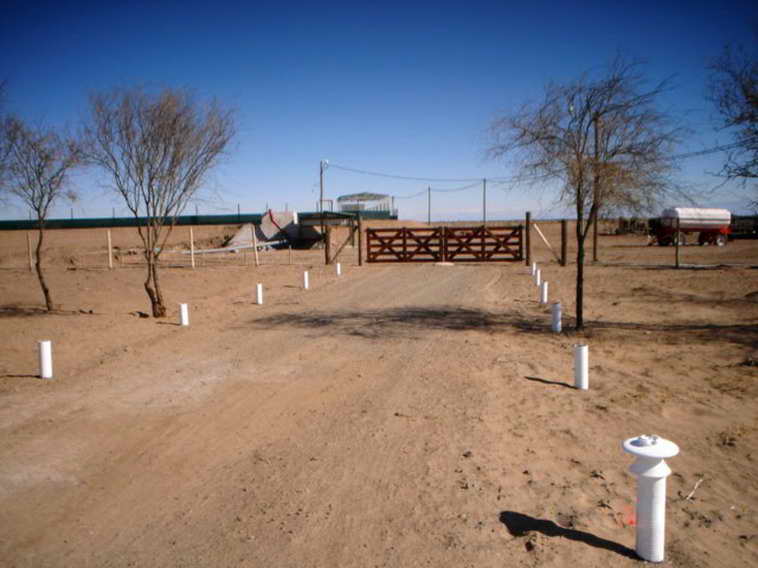 628 ha. en Caucete – Camarico (San Juan)