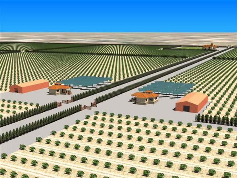 628 ha. en Caucete – Camarico (San Juan)