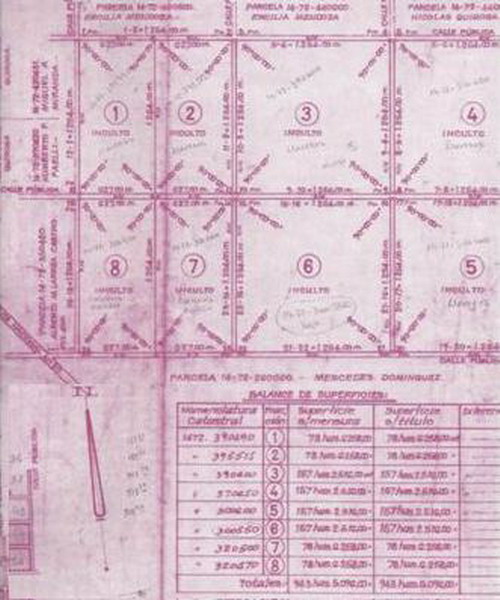 628 ha. en Caucete – Camarico (San Juan)