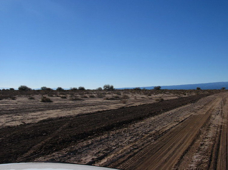 157 ha. en Caucete  Camarico (San Juan)