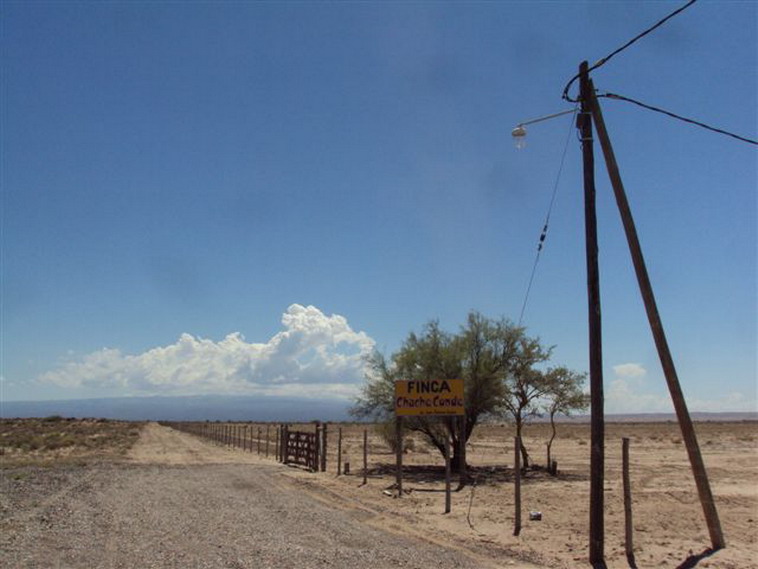 157 ha. en Caucete  Camarico (San Juan)