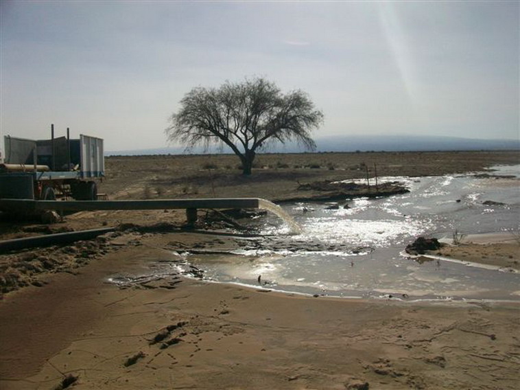 157 ha. en Caucete  Camarico (San Juan)