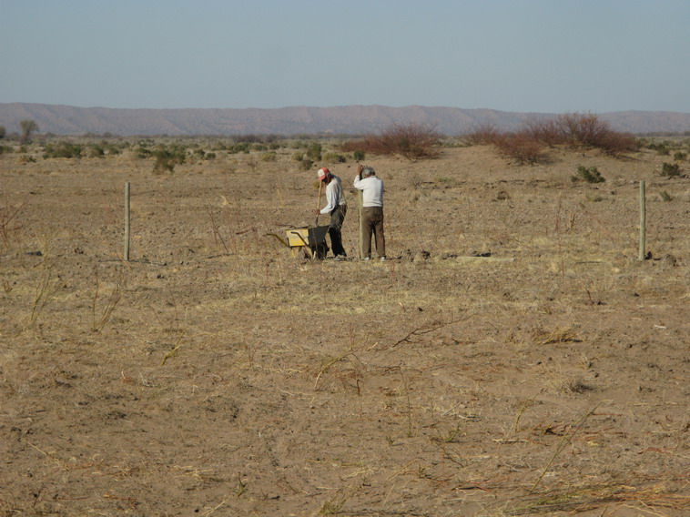 157 ha. en Caucete  Camarico (San Juan)