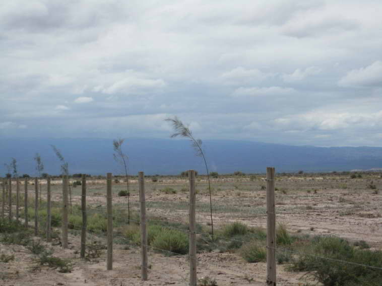 157 ha. en Caucete  Camarico (San Juan)