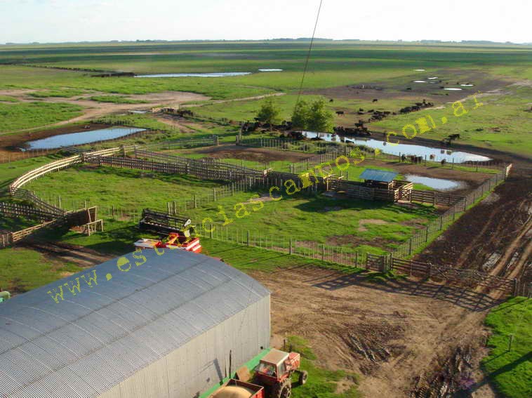 www.estanciascampos.com.ar-Buenos Aires-General Villegas-550 ha-mixto-