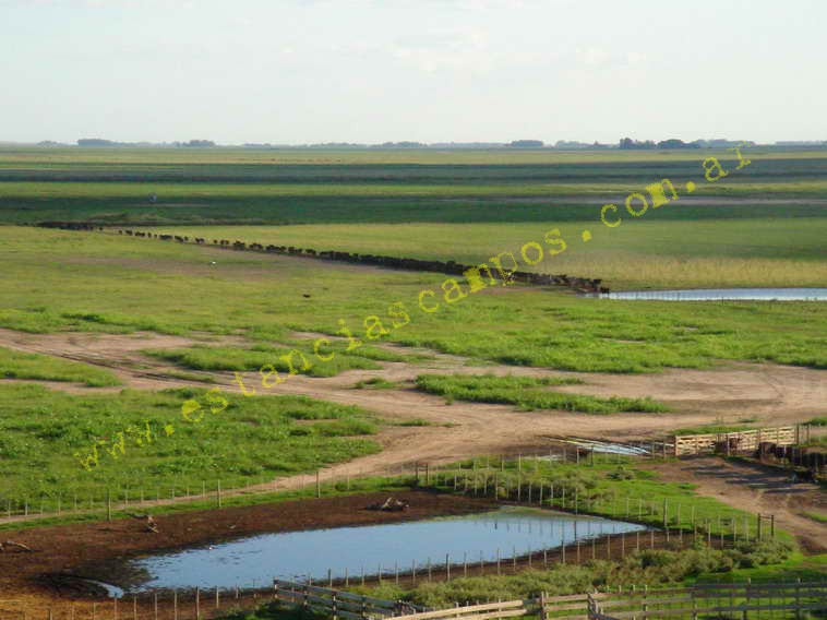 www.estanciascampos.com.ar-Buenos Aires-General Villegas-550 ha-mixto-