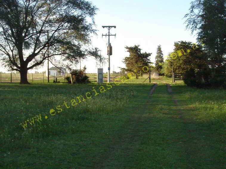 www.estanciascampos.com.ar-Buenos Aires-General Villegas-550 ha-mixto-