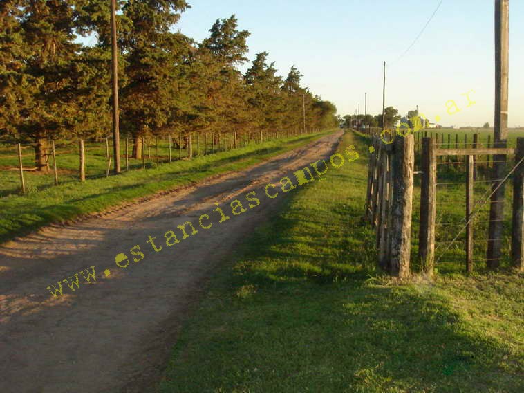 www.estanciascampos.com.ar-Buenos Aires-General Villegas-550 ha-mixto-