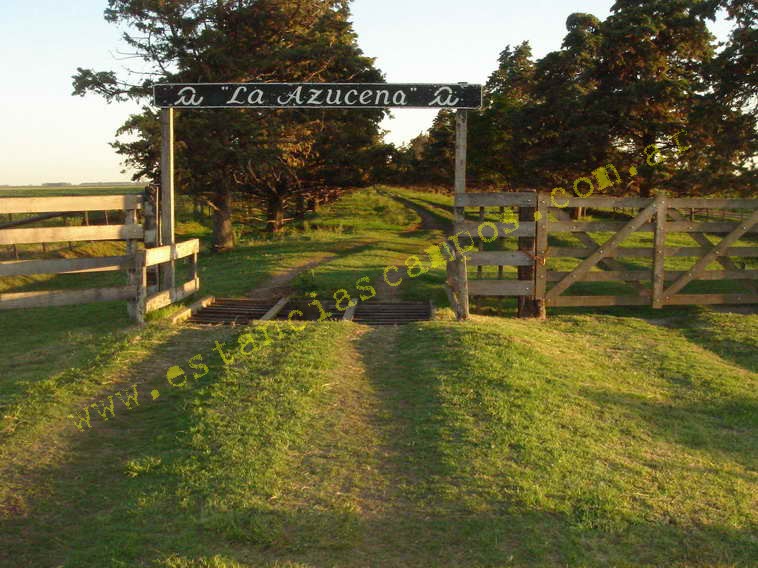 www.estanciascampos.com.ar-Buenos Aires-General Villegas-550 ha-mixto-