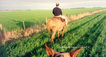 Mas Informacion de la propiedad