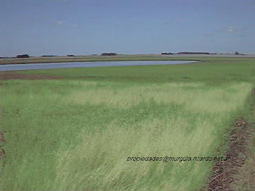 Mas Informacion de la propiedad