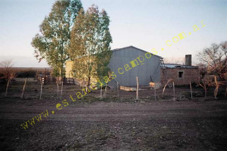 www.estanciascampos.com.ar-Rio Negro-Valcheta-24654 ha-Ganadero-