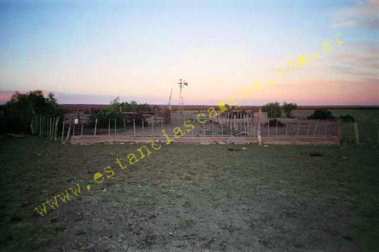 www.estanciascampos.com.ar-Rio Negro-Valcheta-24654 ha-Ganadero-