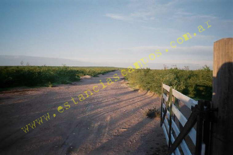 www.estanciascampos.com.ar-Rio Negro-Valcheta-24654 ha-Ganadero-