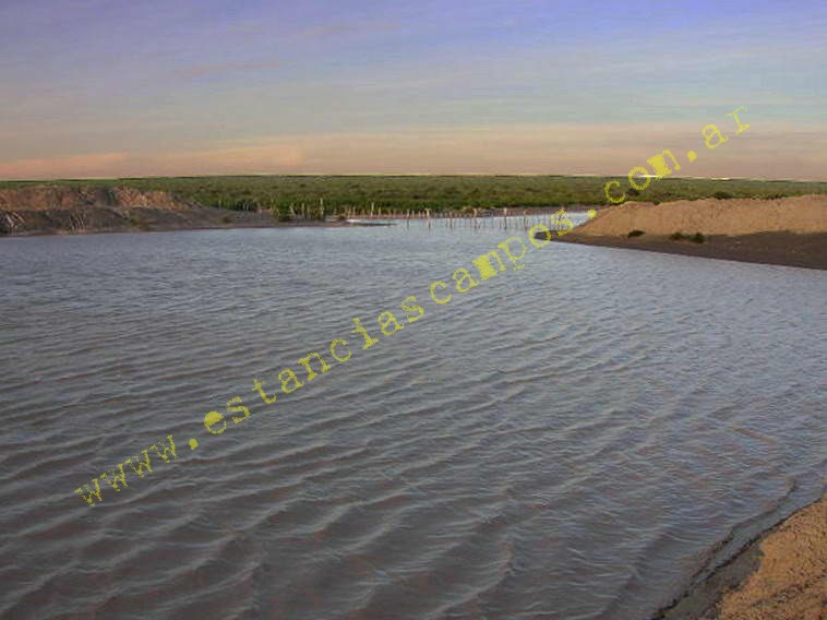 www.estanciascampos.com.ar-Rio Negro-Valcheta-24654 ha-Ganadero-