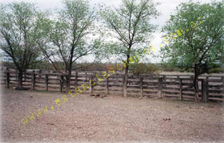www.estanciascampos.com.ar-Rio Negro-Valcheta-24654 ha-Ganadero-