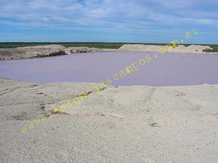 www.estanciascampos.com.ar-Rio Negro-Valcheta-24654 ha-Ganadero-