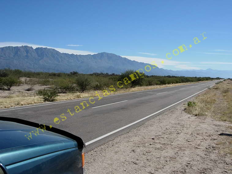www.estanciascampos.com.ar-Catamarca-Bel�n-89000 ha-Ganadero-