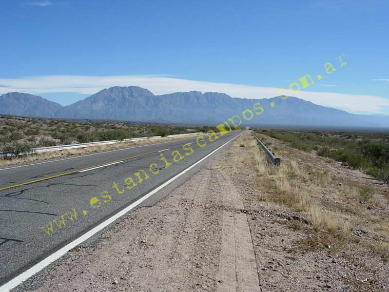 www.estanciascampos.com.ar-Catamarca-Bel�n-89000 ha-Ganadero-