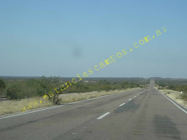 www.estanciascampos.com.ar-Catamarca-Bel�n-89000 ha-Ganadero-