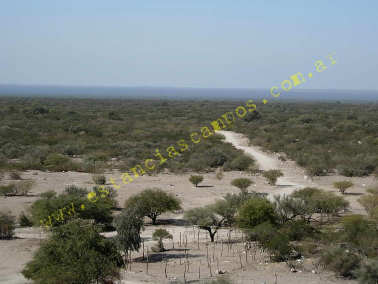 www.estanciascampos.com.ar-Catamarca-Bel�n-89000 ha-Ganadero-