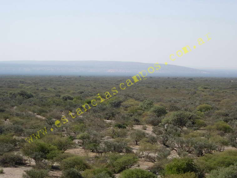 www.estanciascampos.com.ar-Catamarca-Bel�n-89000 ha-Ganadero-