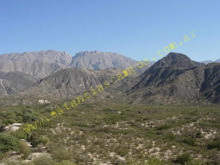 www.estanciascampos.com.ar-Catamarca-Bel�n-89000 ha-Ganadero-