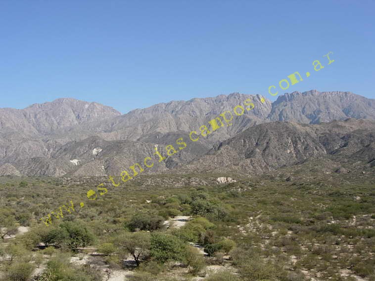 www.estanciascampos.com.ar-Catamarca-Bel�n-89000 ha-Ganadero-