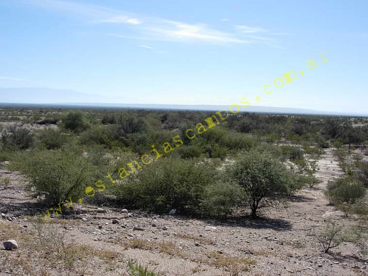 www.estanciascampos.com.ar-Catamarca-Bel�n-89000 ha-Ganadero-