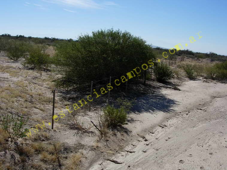 www.estanciascampos.com.ar-Catamarca-Bel�n-89000 ha-Ganadero-