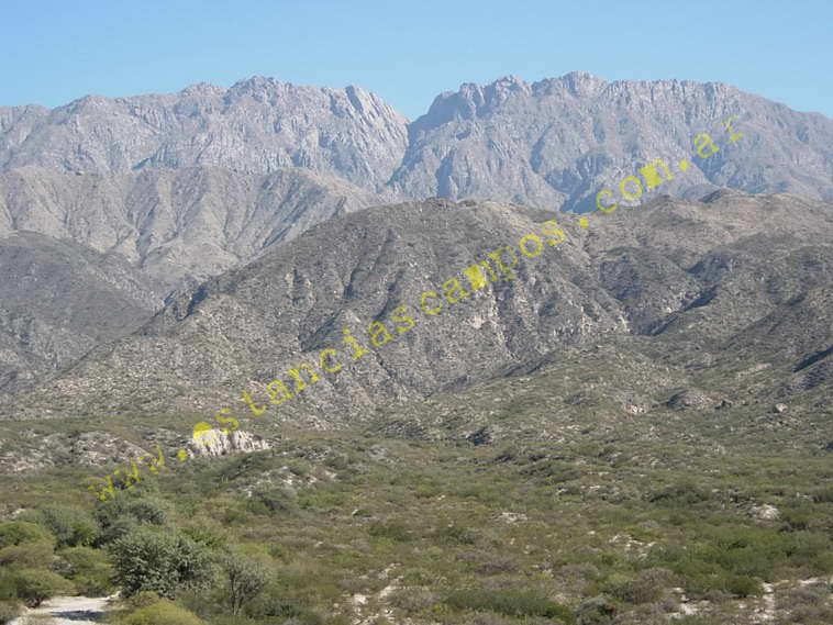 www.estanciascampos.com.ar-Catamarca-Bel�n-89000 ha-Ganadero-