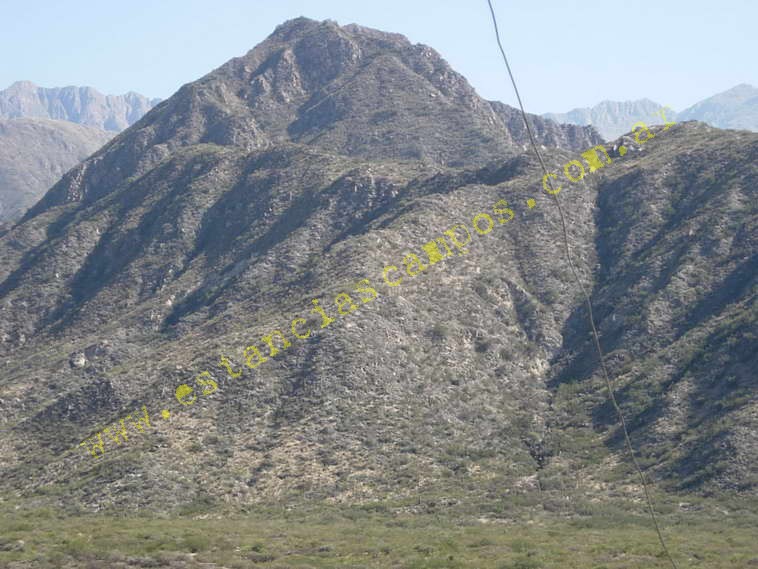 www.estanciascampos.com.ar-Catamarca-Bel�n-89000 ha-Ganadero-