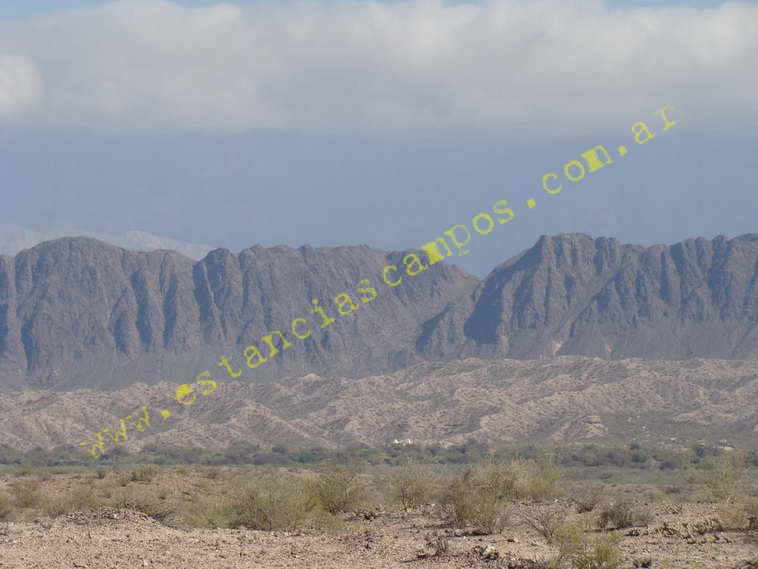 www.estanciascampos.com.ar-Catamarca-Bel�n-89000 ha-Ganadero-