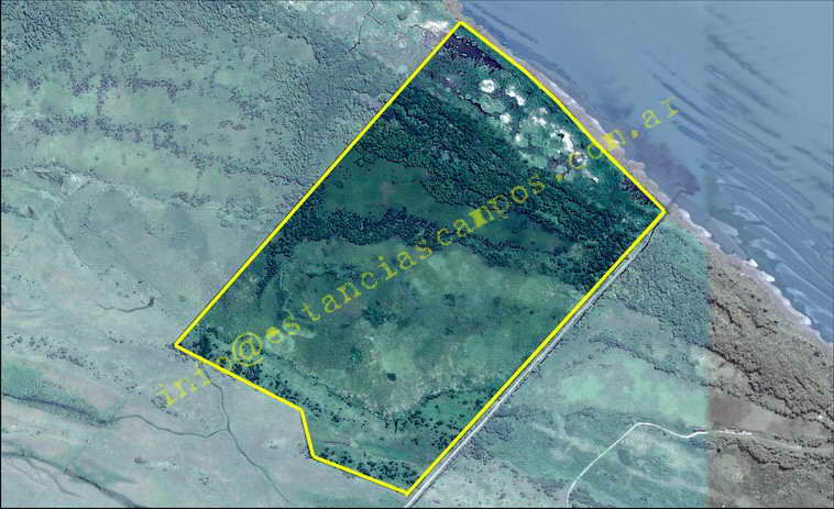 75+19 ha. en Magdalena (BA)