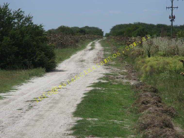 75+19 ha. en Magdalena (BA)