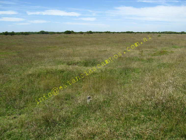 75+19 ha. en Magdalena (BA)