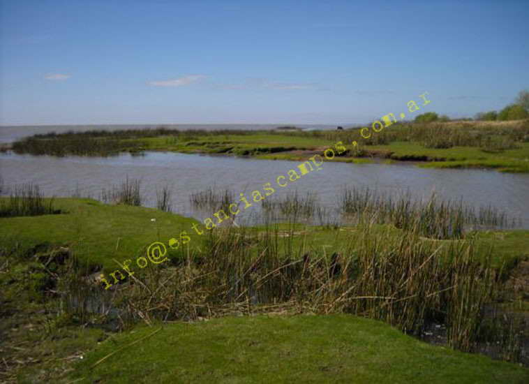 75+19 ha. en Magdalena (BA)