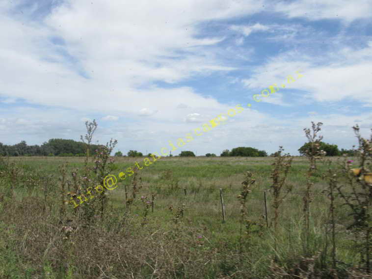 75+19 ha. en Magdalena (BA)