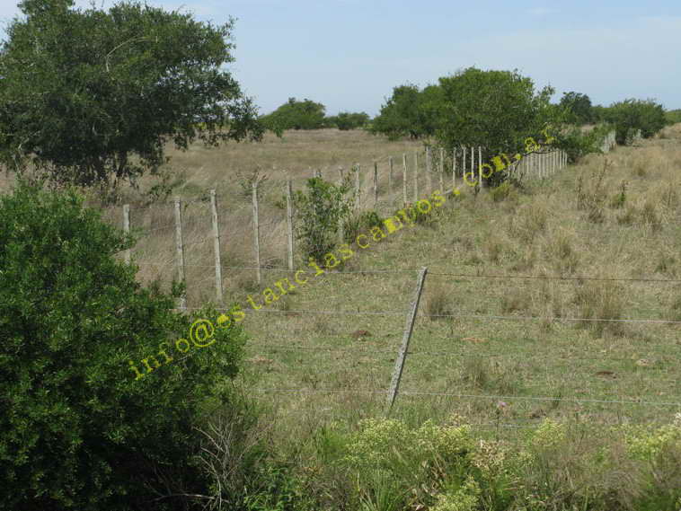 75+19 ha. en Magdalena (BA)