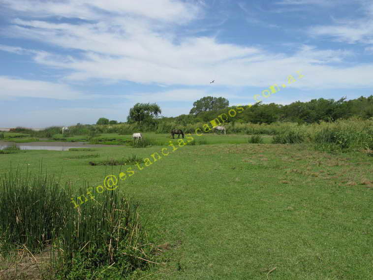 75+19 ha. en Magdalena (BA)