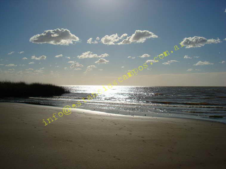 75+19 ha. en Magdalena (BA)