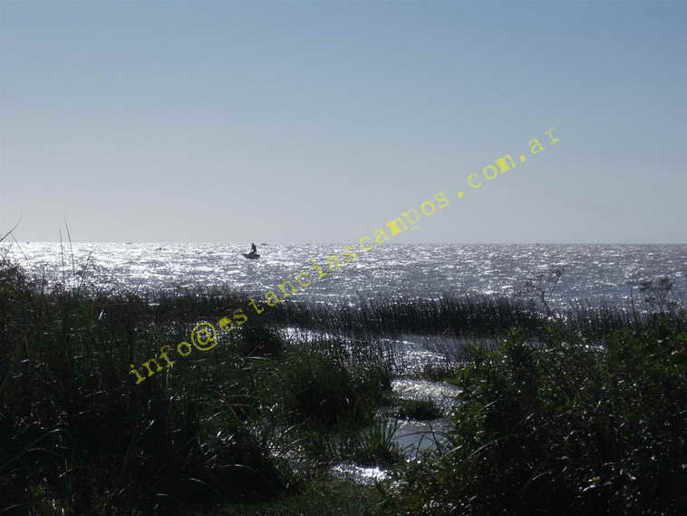 75+19 ha. en Magdalena (BA)