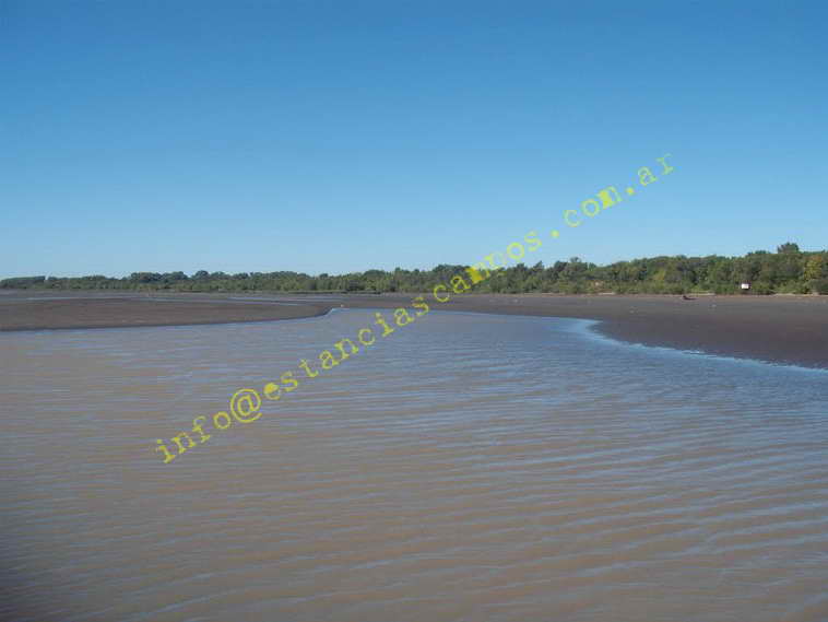 75+19 ha. en Magdalena (BA)