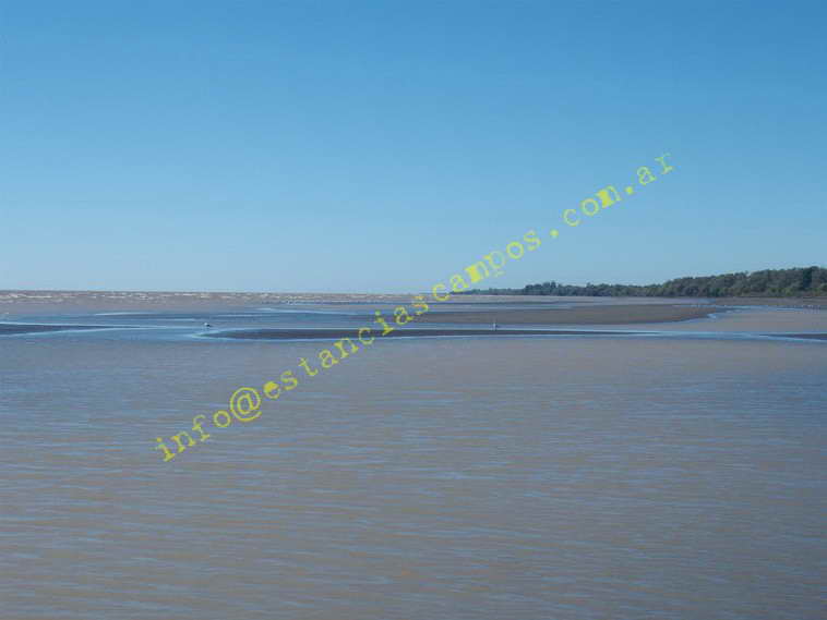 75+19 ha. en Magdalena (BA)