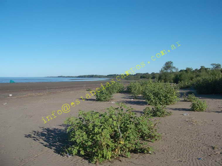 75+19 ha. en Magdalena (BA)