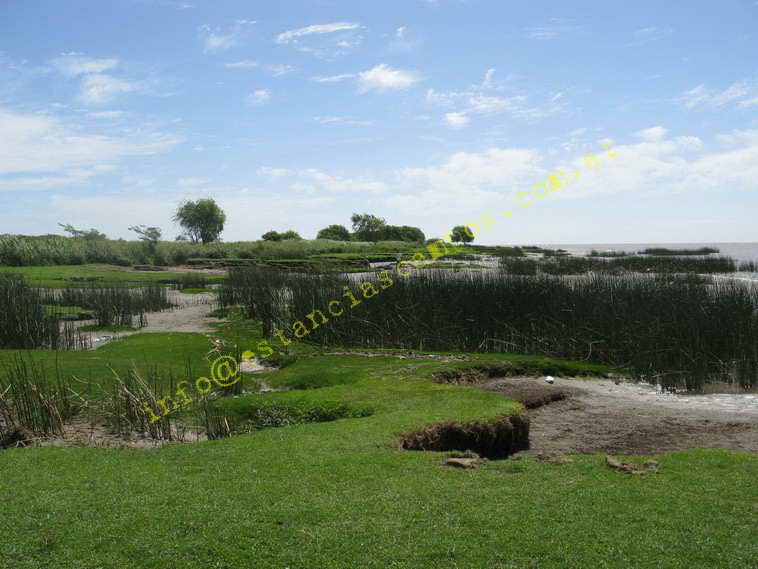 75+19 ha. en Magdalena (BA)