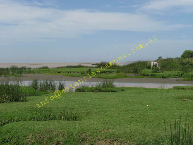 75+19 ha. en Magdalena (BA)