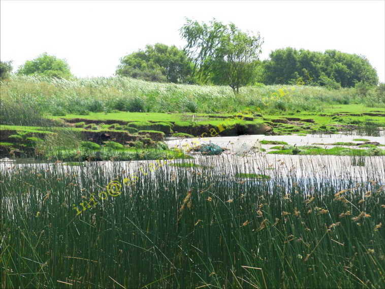 75+19 ha. en Magdalena (BA)