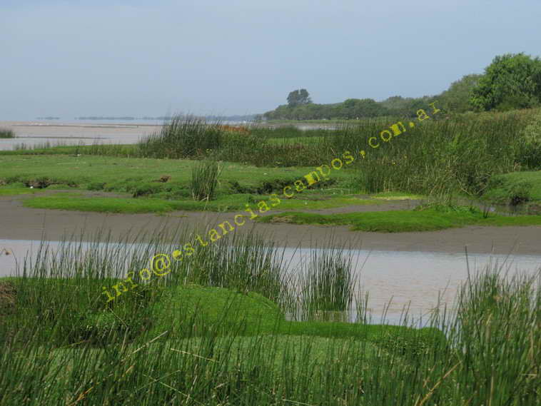 75+19 ha. en Magdalena (BA)